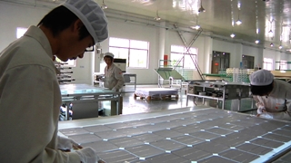 Empowering China's Green Revolution